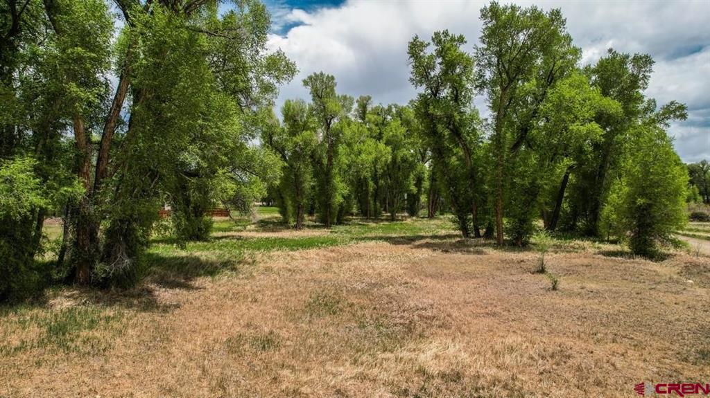 91 Apache Road Property Photo 14