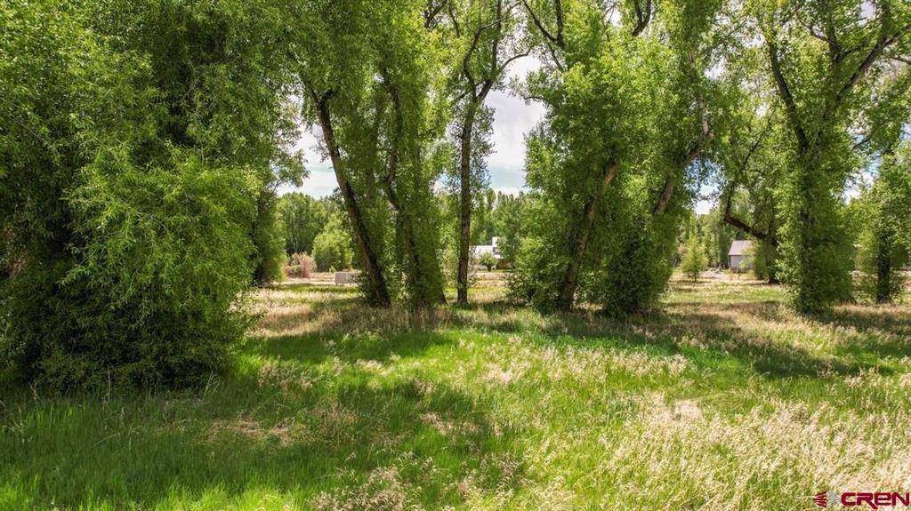 91 Apache Road Property Photo 19