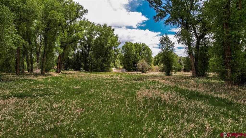 91 Apache Road Property Photo 21
