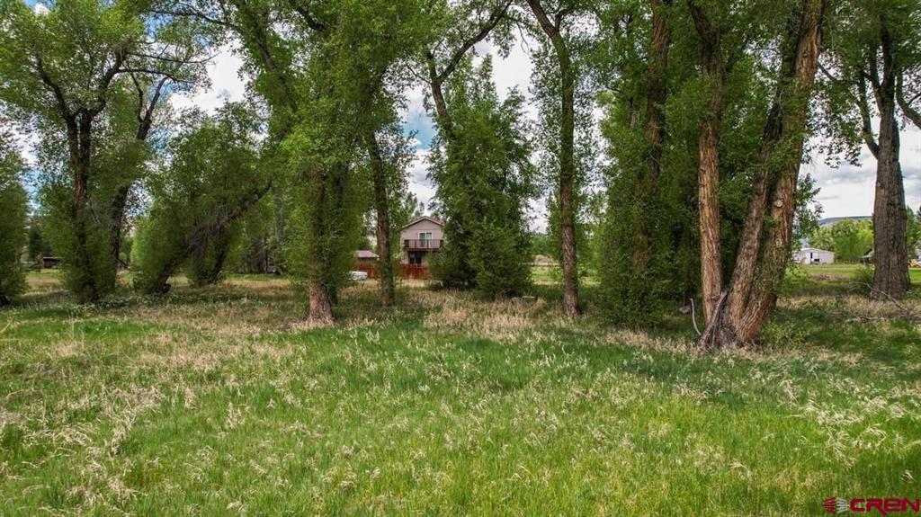 91 Apache Road Property Photo 23