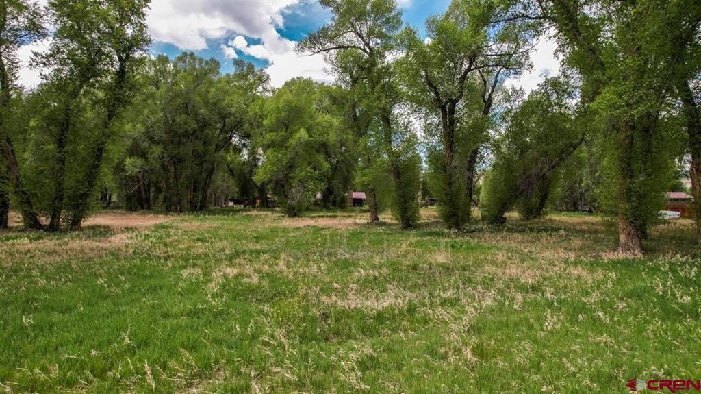 91 Apache Road Property Photo 24
