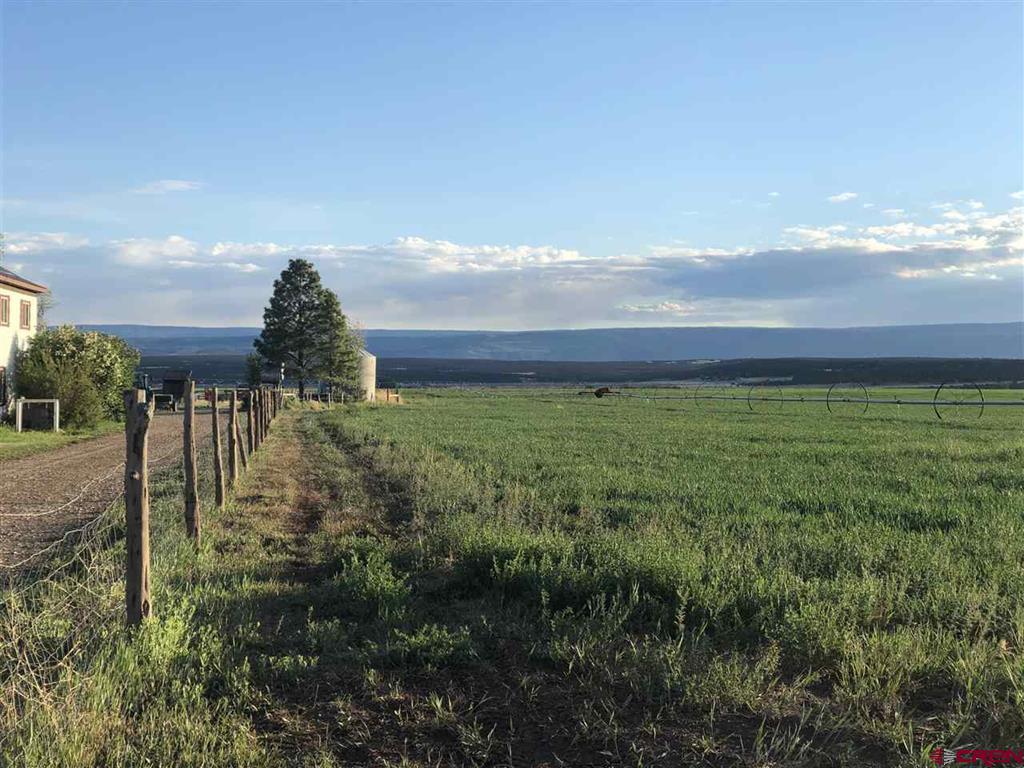 37661 Highway 145 Property Photo 5