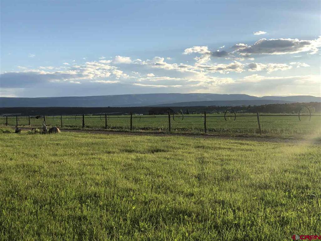 37661 Highway 145 Property Photo 8