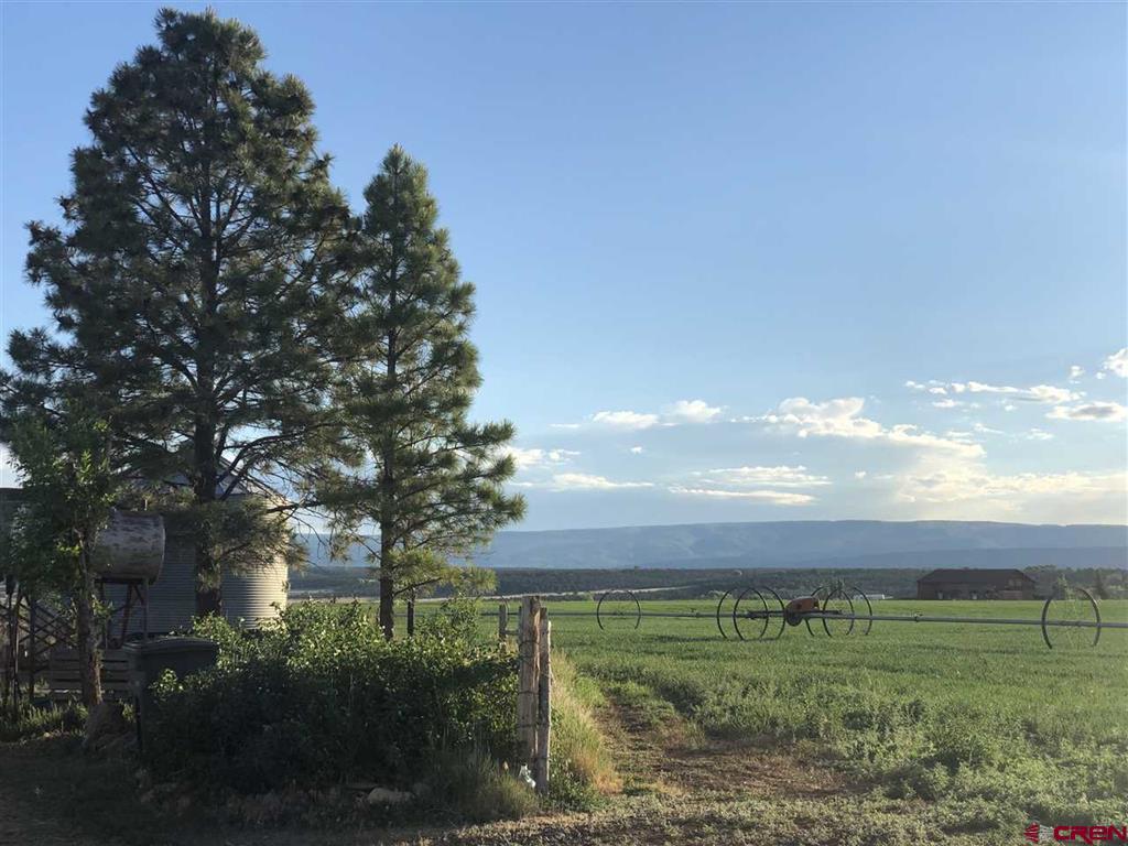 37661 Highway 145 Property Photo 9