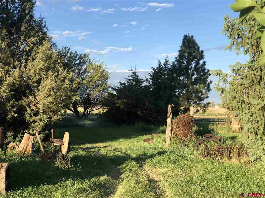 37661 Highway 145 Property Photo 12