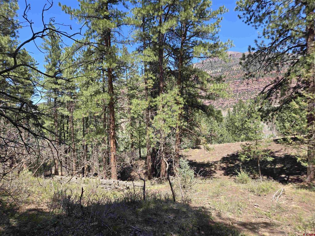 238 Pine Ridge Drive Property Photo 4