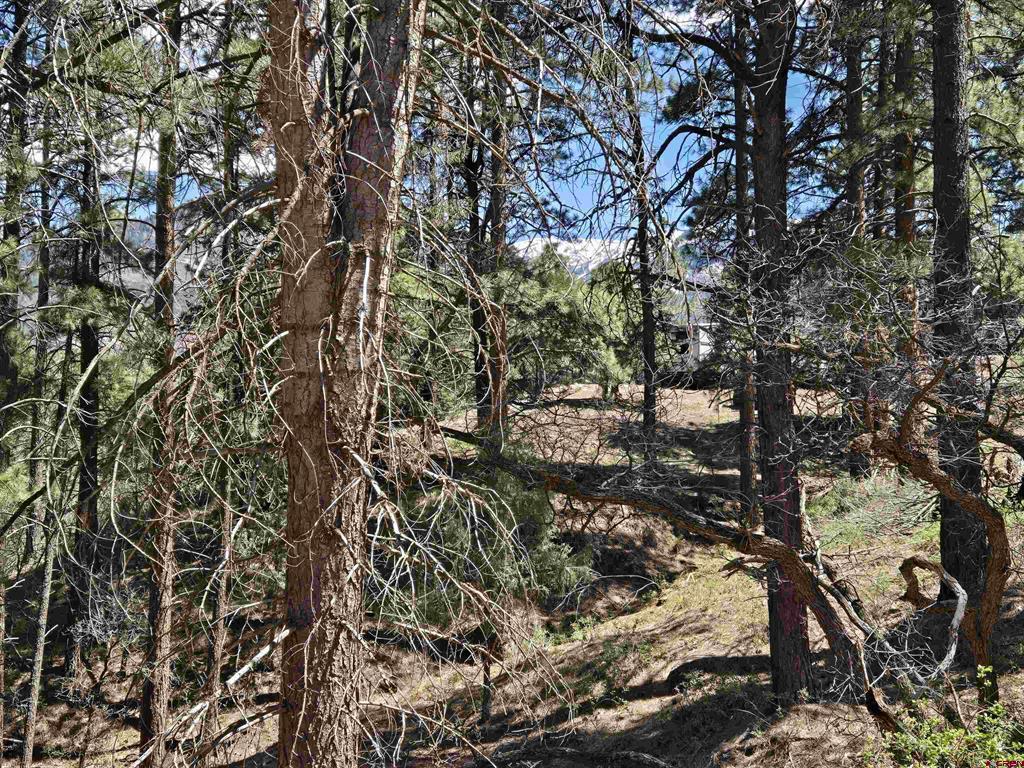 238 Pine Ridge Drive Property Photo 6