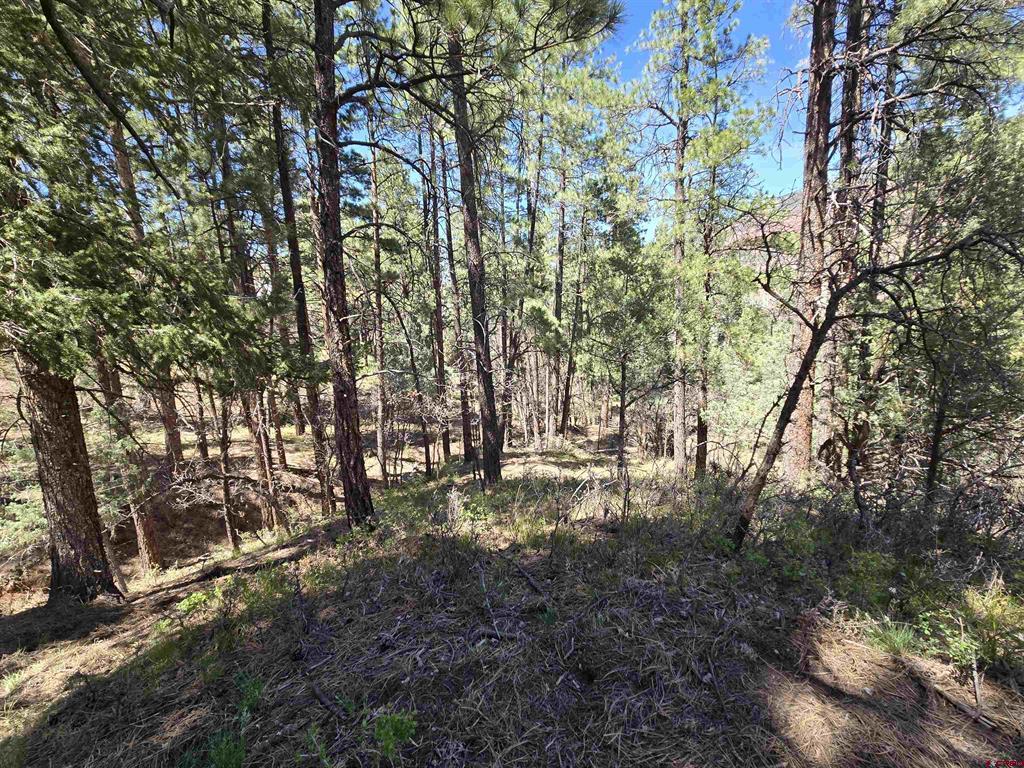 238 Pine Ridge Drive Property Photo 7