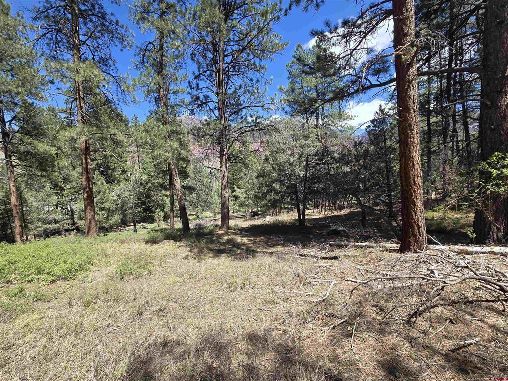 238 Pine Ridge Drive Property Photo 8