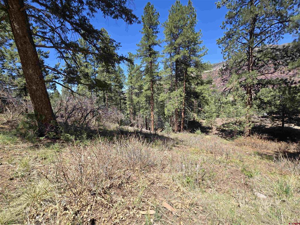 238 Pine Ridge Drive Property Photo 10