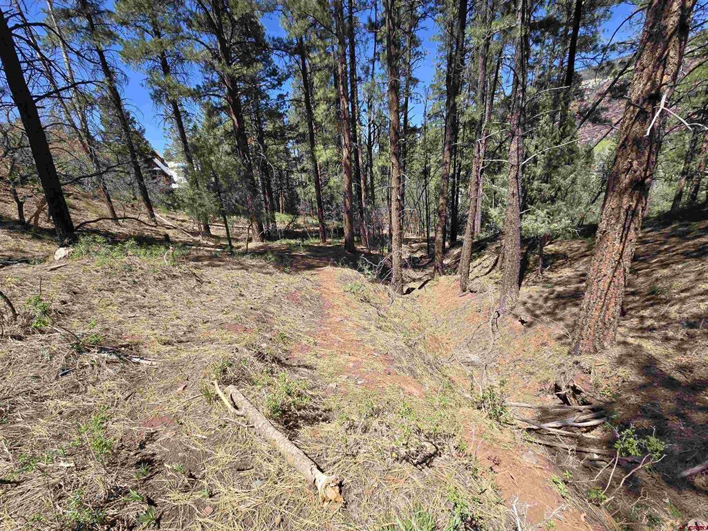 238 Pine Ridge Drive Property Photo 11