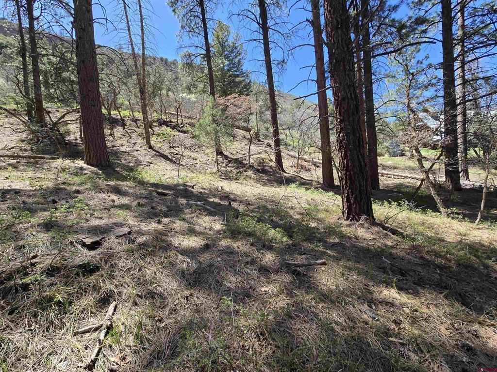 238 Pine Ridge Drive Property Photo 12