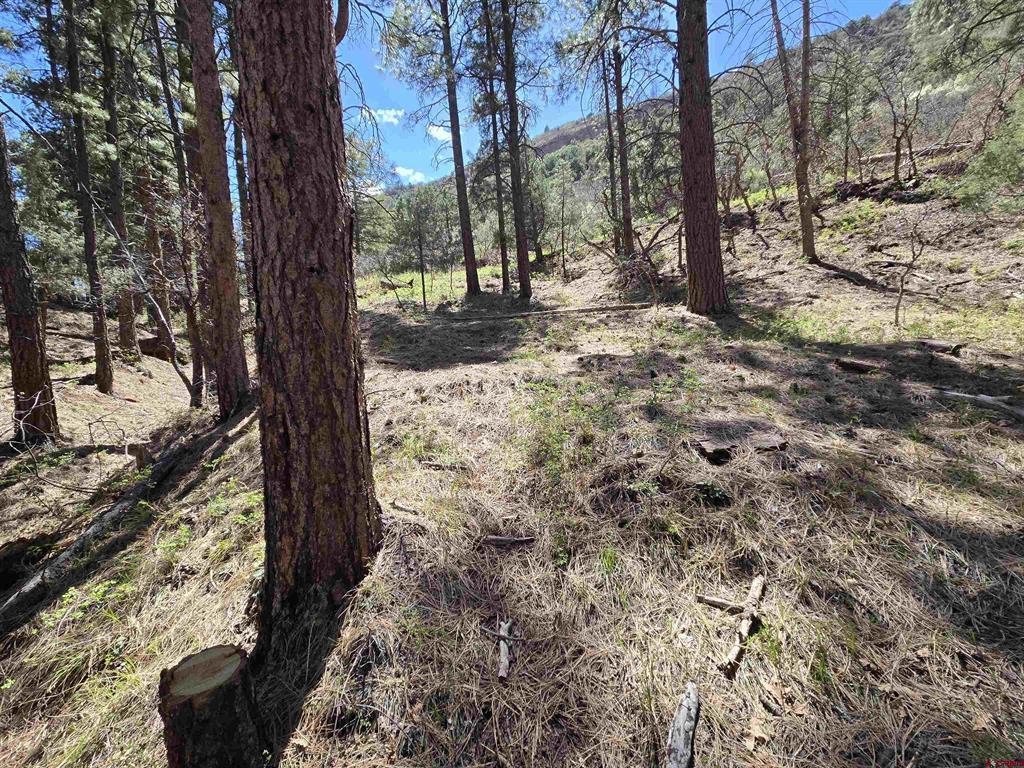 238 Pine Ridge Drive Property Photo 13