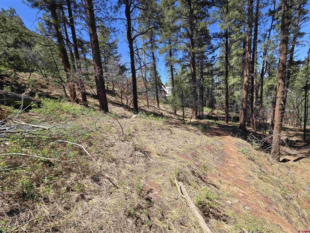 238 Pine Ridge Drive Property Photo 14