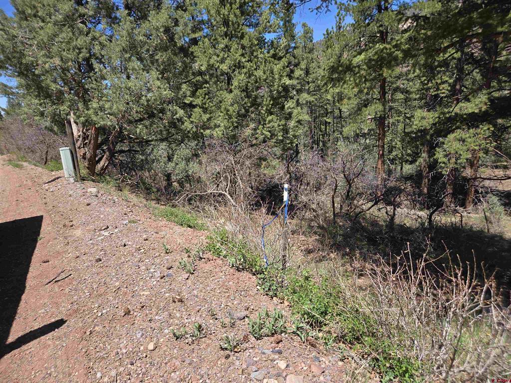 238 Pine Ridge Drive Property Photo 15