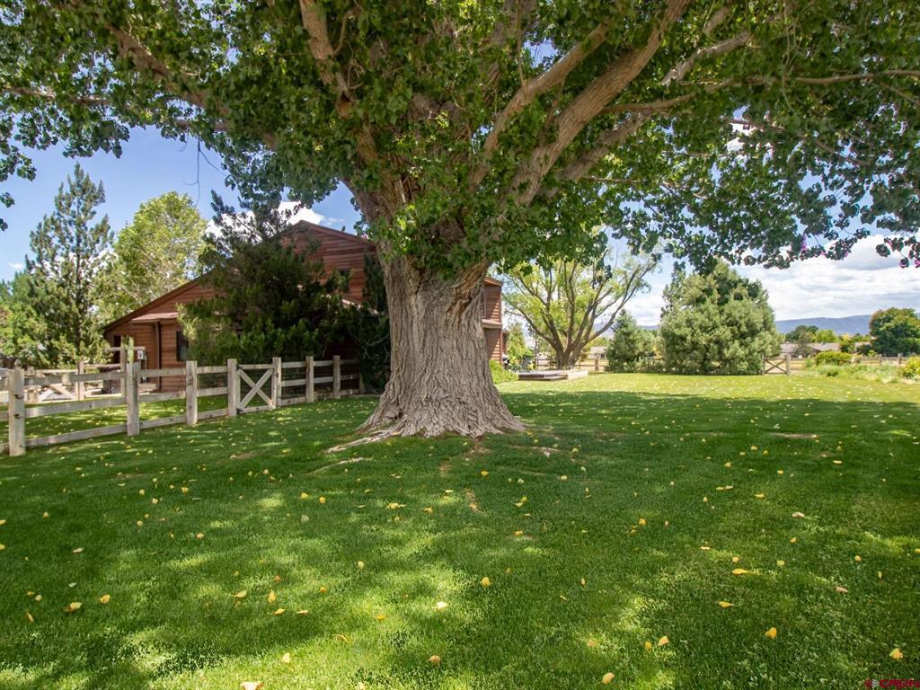 2500 Columbine Lane Property Photo 11
