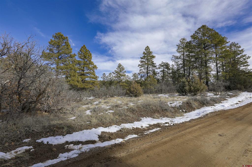 783 Gun Barrel Road Property Photo 1