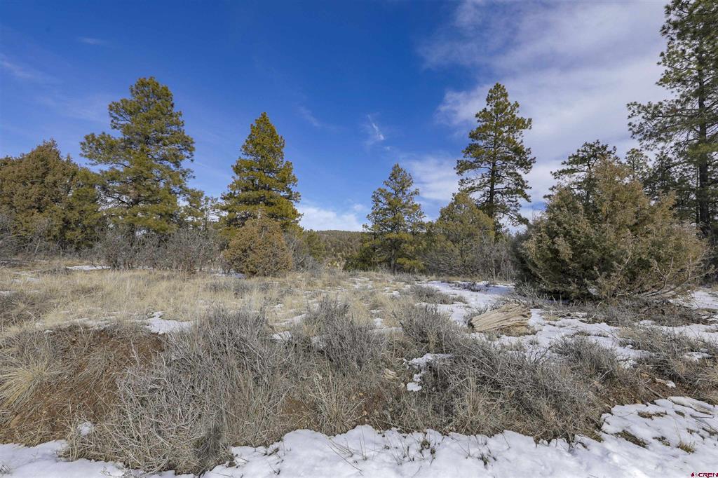 783 Gun Barrel Road Property Photo 3
