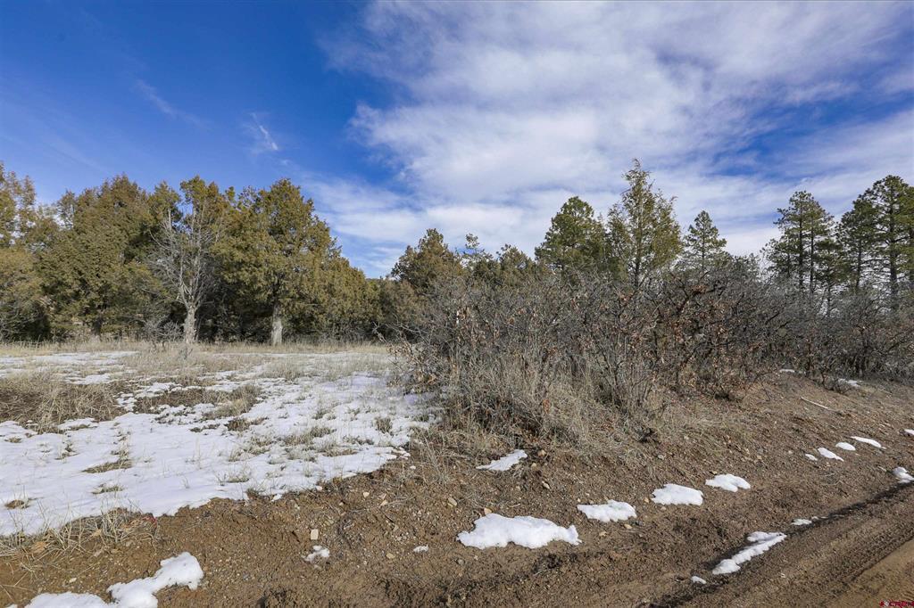 783 Gun Barrel Road Property Photo 9