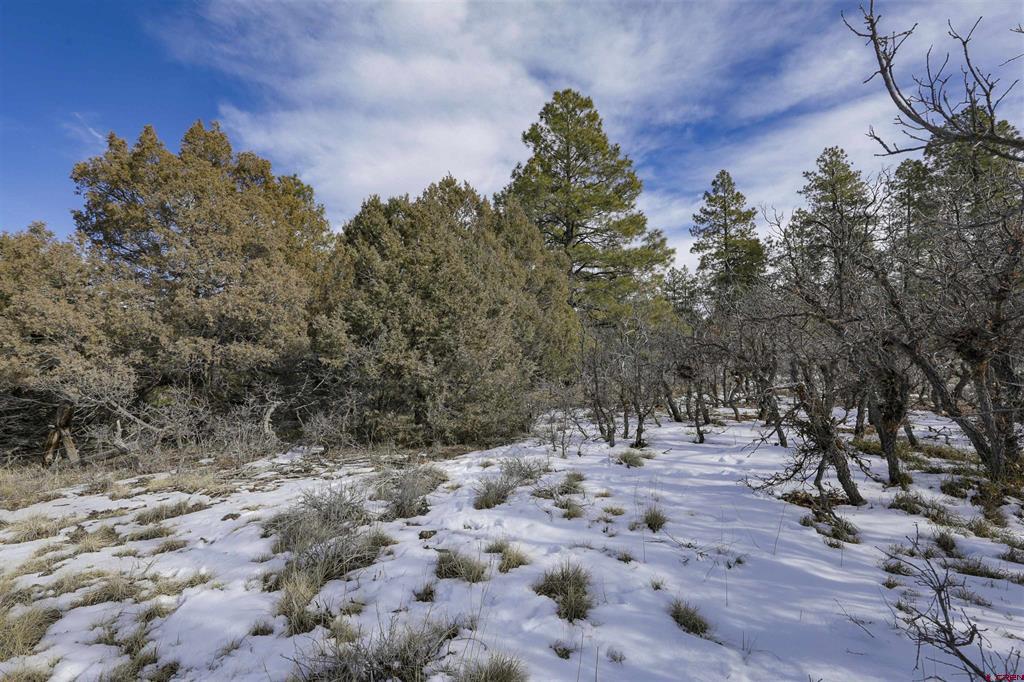 783 Gun Barrel Road Property Photo 10