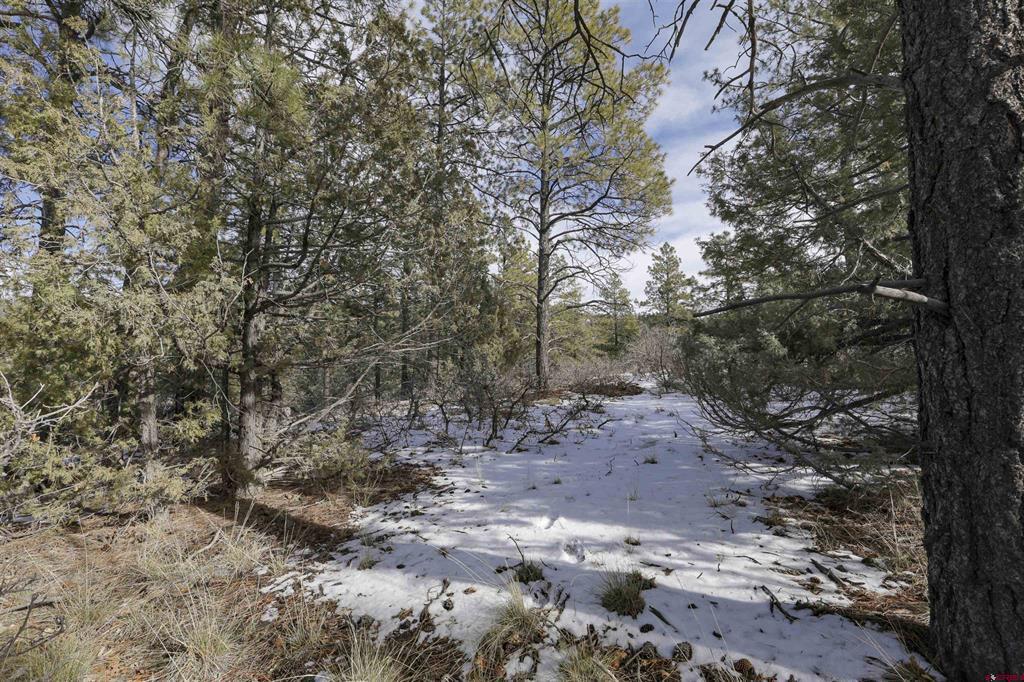 783 Gun Barrel Road Property Photo 11