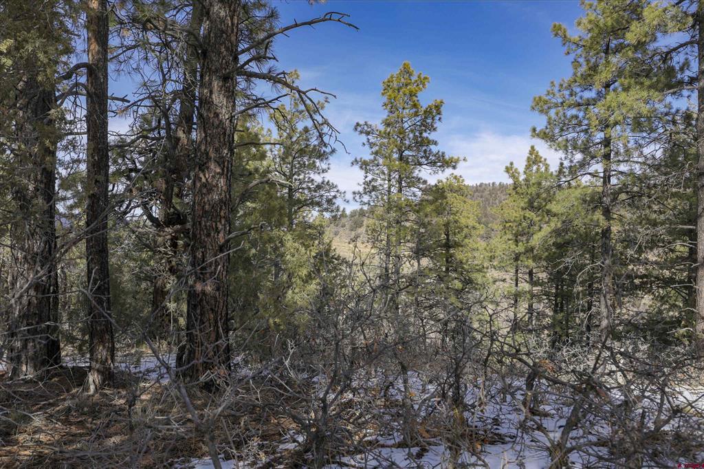 783 Gun Barrel Road Property Photo 12