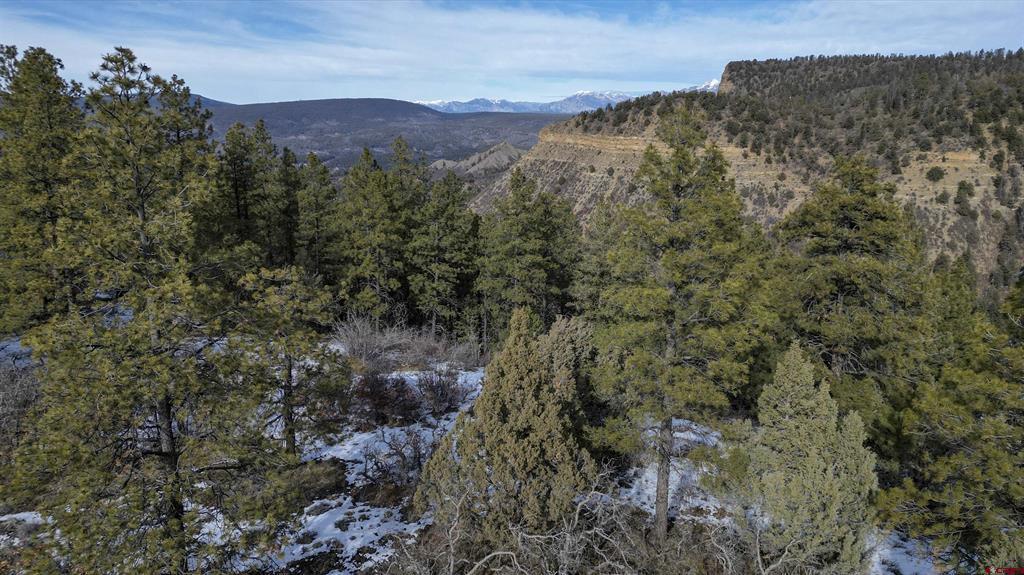 783 Gun Barrel Road Property Photo 13