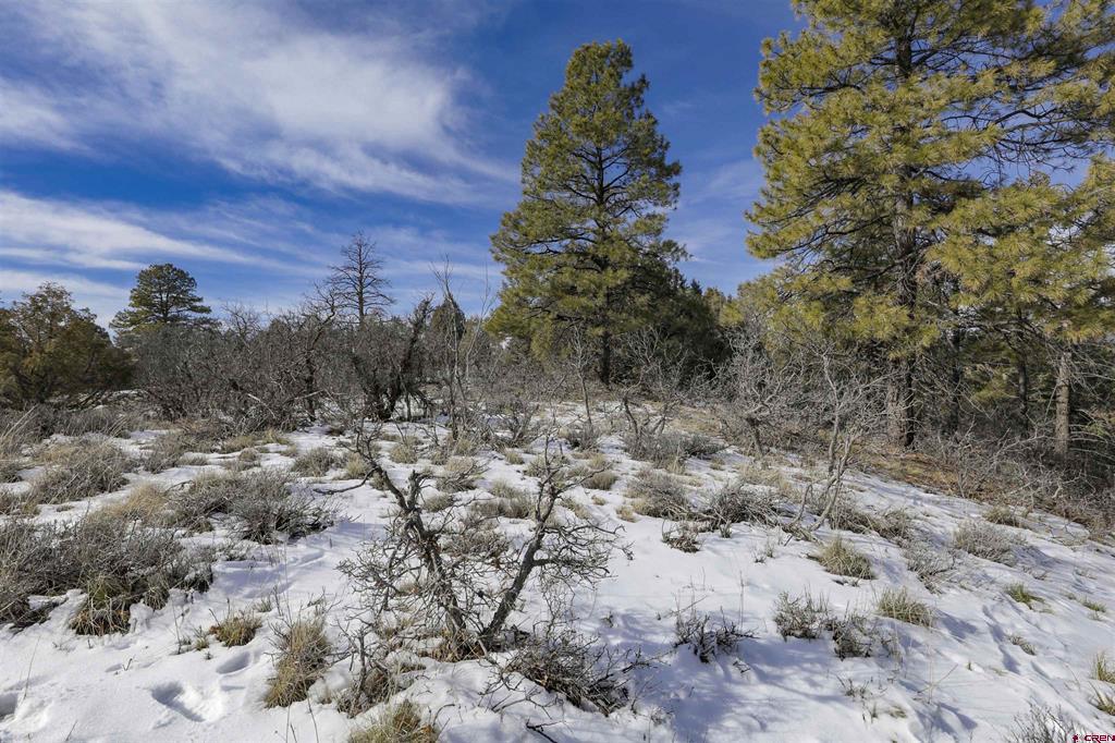 783 Gun Barrel Road Property Photo 14