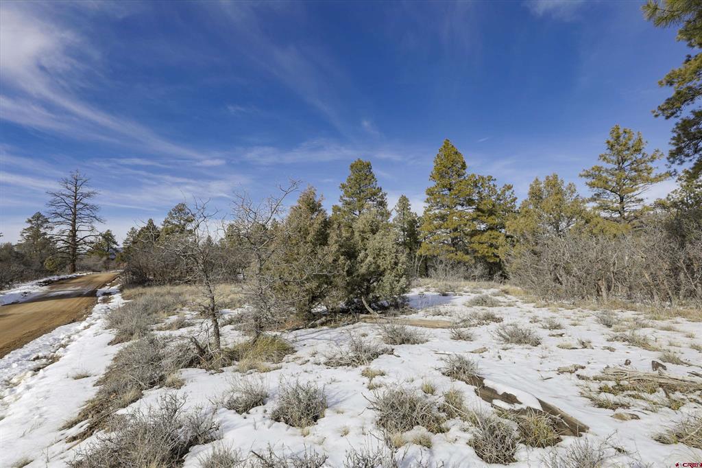 783 Gun Barrel Road Property Photo 15