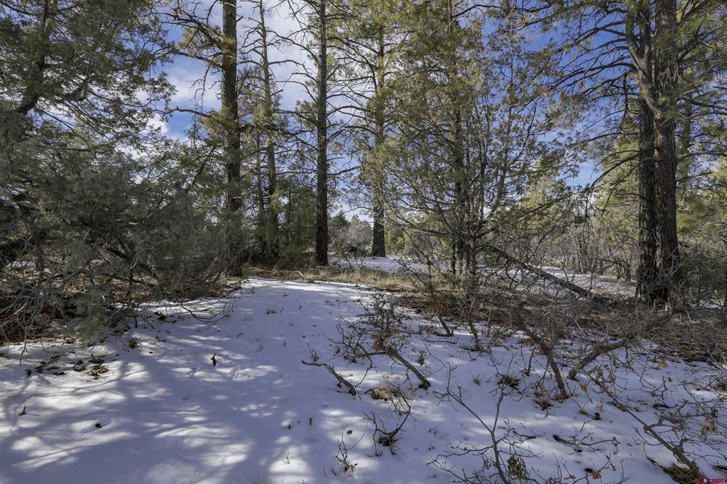 783 Gun Barrel Road Property Photo 16