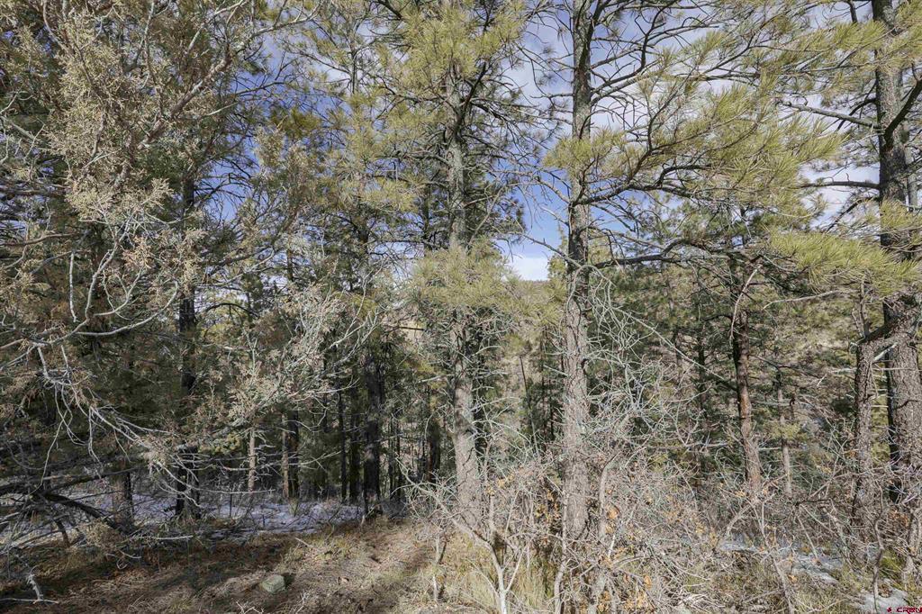 783 Gun Barrel Road Property Photo 17