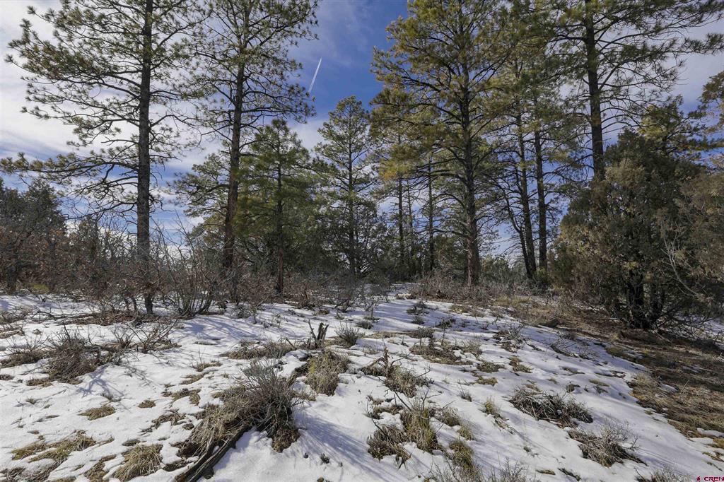 783 Gun Barrel Road Property Photo 19