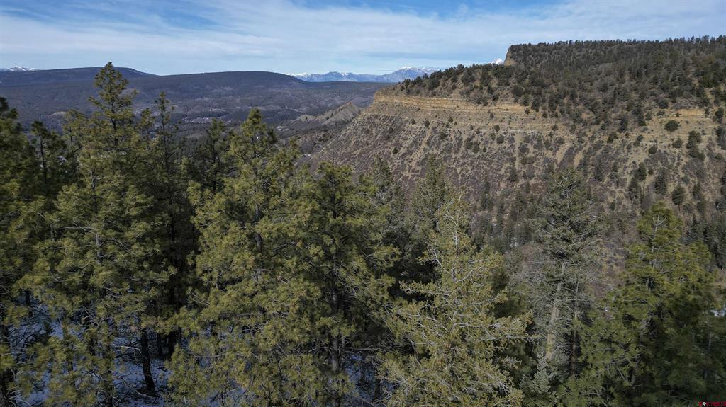 783 Gun Barrel Road Property Photo 23