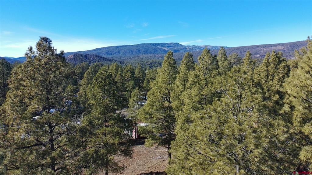 868 Nutria Circle Property Photo 9