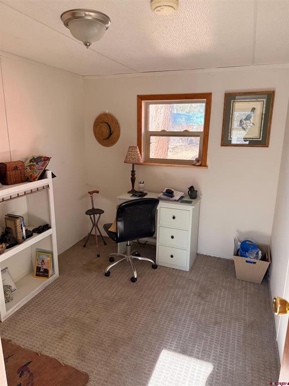 868 Nutria Circle Property Photo 12