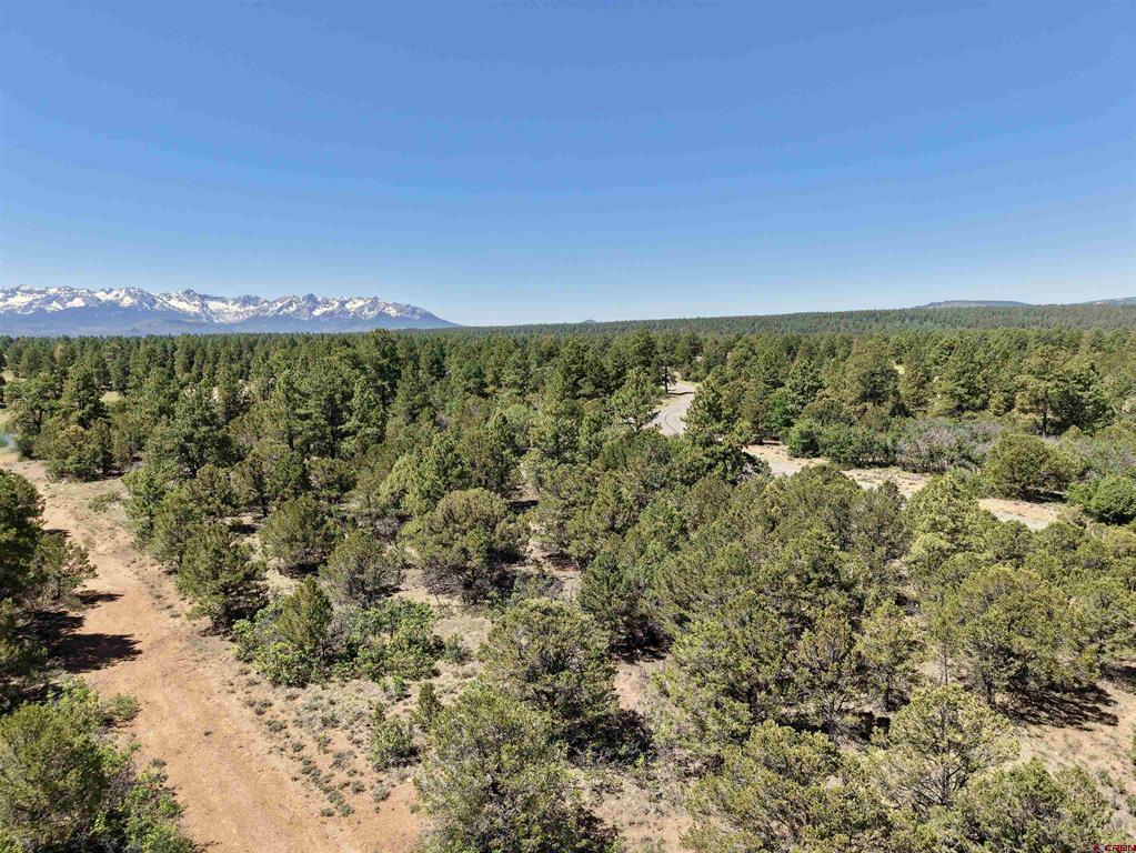 Lot 555 N Badger Trail Property Photo 4