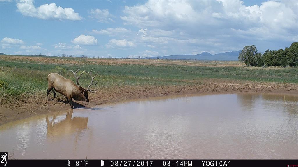 000 Akati Gulch Road Property Photo 3