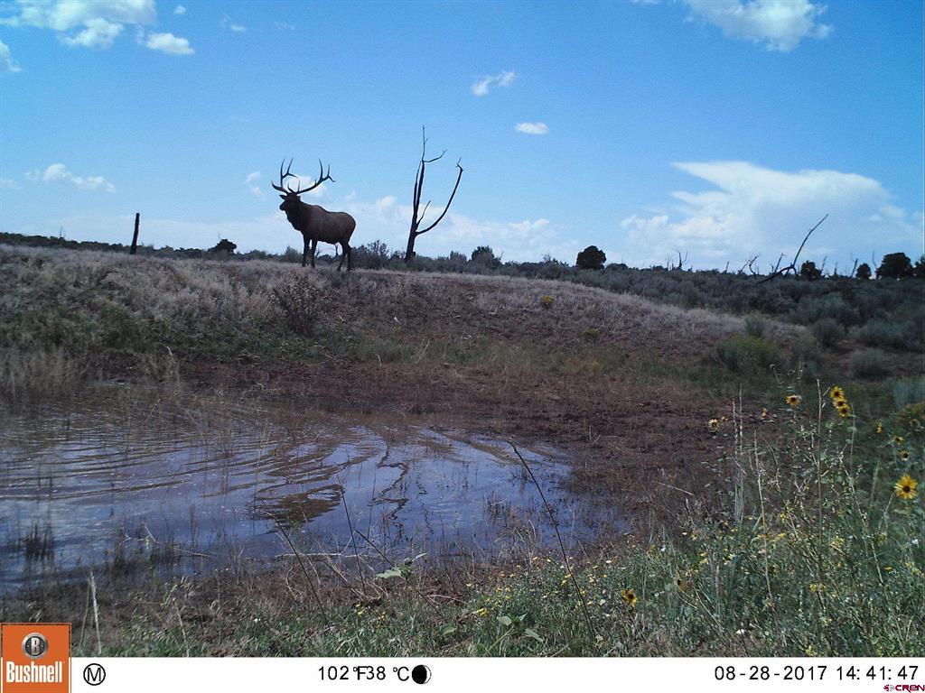 000 Akati Gulch Road Property Photo 4