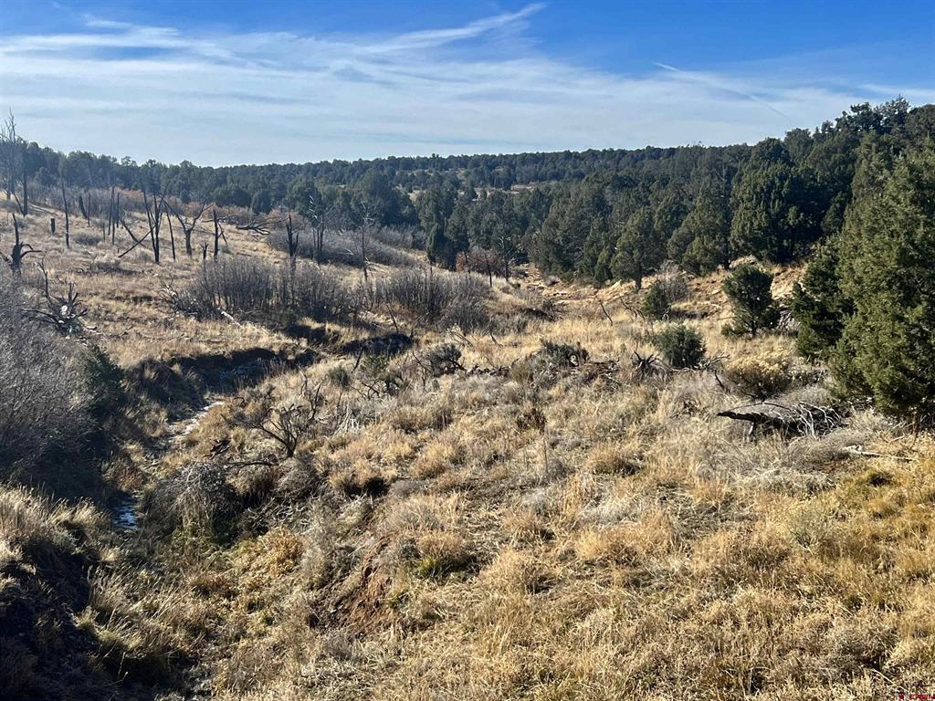 000 Akati Gulch Road Property Photo 6