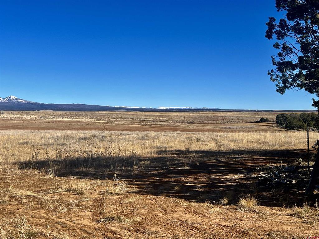 000 Akati Gulch Road Property Photo 9