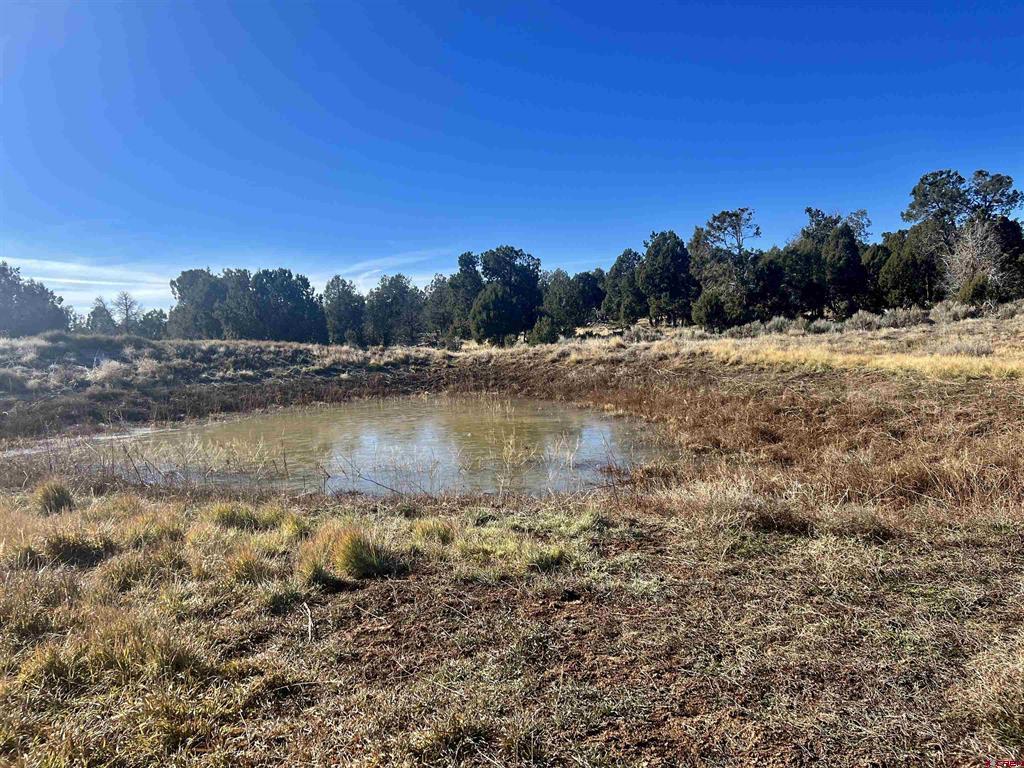 000 Akati Gulch Road Property Photo 10