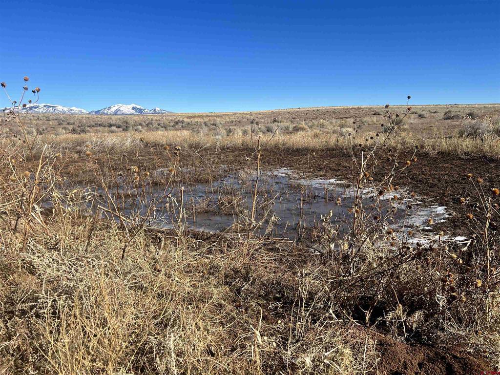000 Akati Gulch Road Property Photo 15