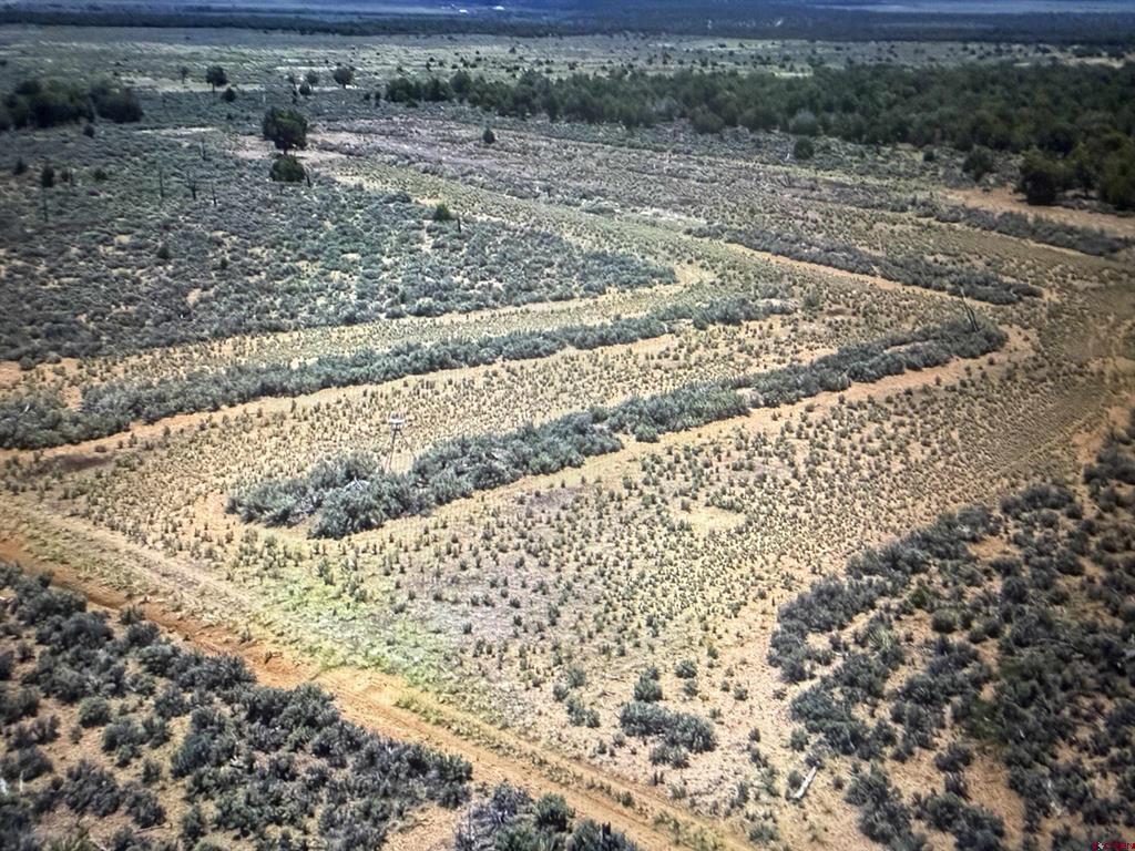 000 Akati Gulch Road Property Photo 17