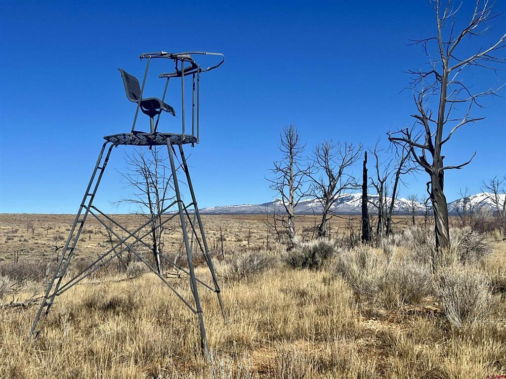 000 Akati Gulch Road Property Photo 18
