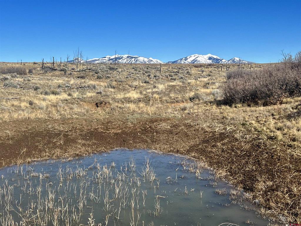 000 Akati Gulch Road Property Photo 21