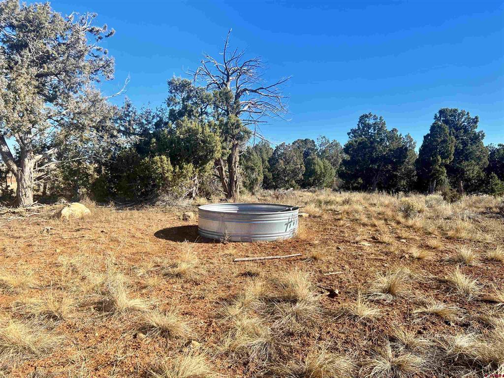 000 Akati Gulch Road Property Photo 22