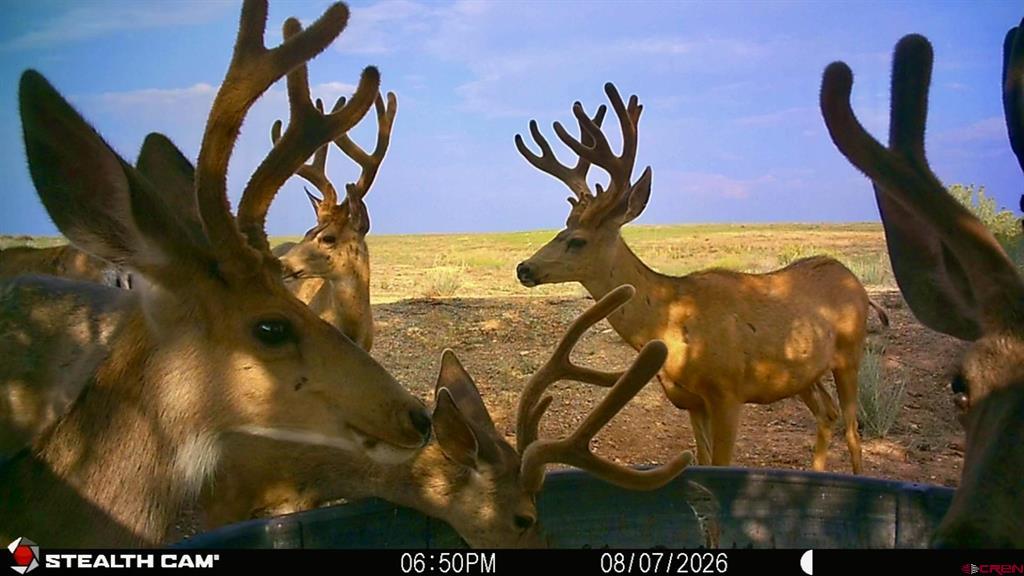 000 Akati Gulch Road Property Photo 28