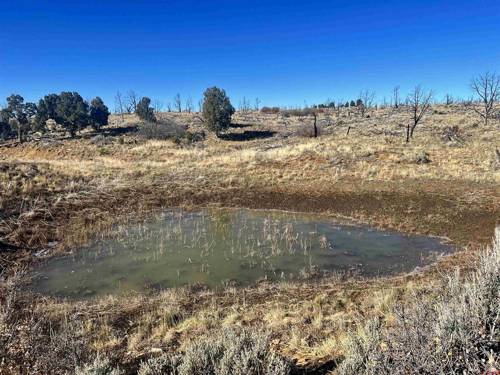 000 Akati Gulch Road Property Photo 31