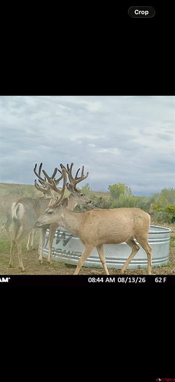 000 Akati Gulch Road Property Photo 32