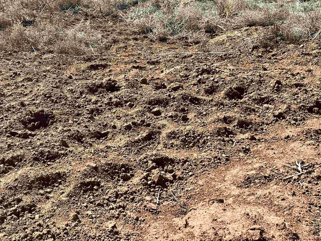 000 Akati Gulch Road Property Photo 34